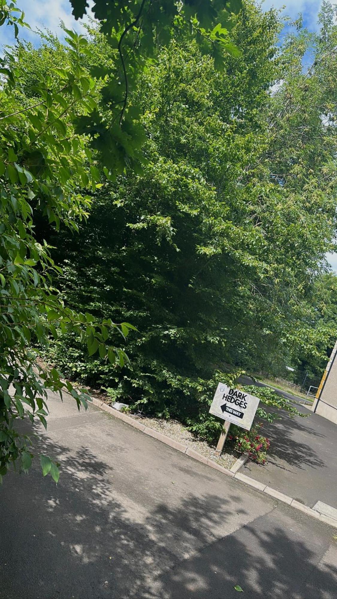 The Hedges Hotel Stranocum المظهر الخارجي الصورة